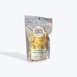 Freeze Dried Organic Mango - 2.2 oz