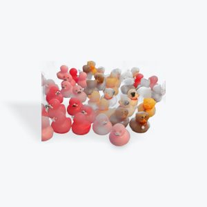2 for $1 Assorted Micro Rubber Ducks